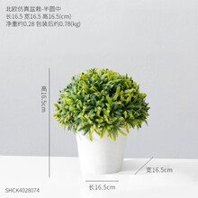 簡約花瓶，讓你的家變成藝術(shù)美人
