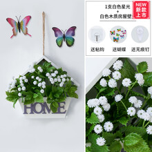 的藝術，精美花瓶讓你愛上生活