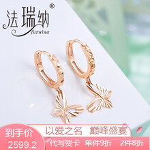 秀氣耳環(huán)