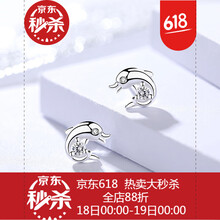 個(gè)性流蘇耳飾，打造優(yōu)雅美girl