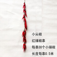 五谷雜糧,怎么樣,五谷雜糧,玉米,玉米