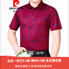 皮爾卡丹（pierrecardin） 短袖 男士T恤 紫紅色 