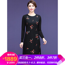 元素,流行,刺繡,衣裙,趨勢(shì),新款,樣式