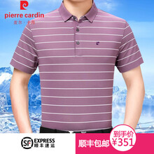 皮爾卡丹（pierrecardin） 短袖 男士T恤 193080-灰紫 