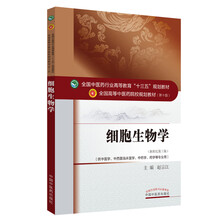 十三五