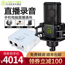 萊維特（LEWITT）  懸掛式 麥克風(fēng) LCT 249 PRO+艾肯4nano