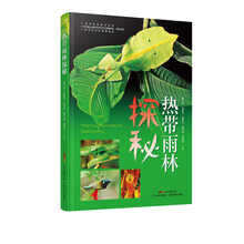 熱帶雨林