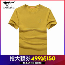 七匹狼（SEPTWOLVES） 短袖 男士T恤 2841款-206豆綠色 