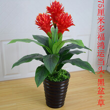 歐式花瓶，讓你愛(ài)上浪漫生活