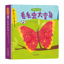 神奇的生命：毛毛蟲大變身（專供版）簡介，目錄書摘