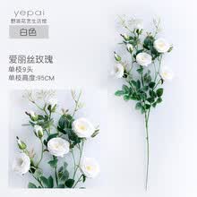 yepai,����,yepai,���а�,Ұ��,��ƿ,��ƿ,Ұ��,�Ƽ�