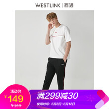 ������Westlink�� ���� ��ʿT�� ��ɫ 