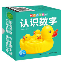 撕不爛早教卡