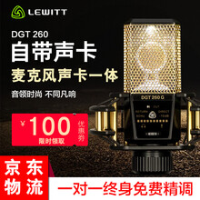 萊維特（LEWITT）  支撐式 麥克風 小金人（自帶聲卡）