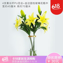 ����Ҫһ�����ֵ�ļҾӰڼ�