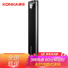 黑色塔扇
