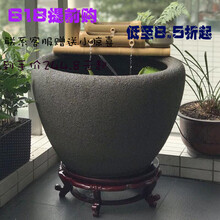 金魚缸荷花