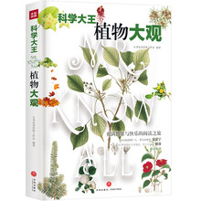 大王