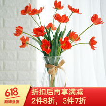玻璃太陽(yáng)花