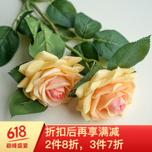 精致創(chuàng)意花瓶，讓生活更有情調