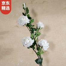 高顏值花瓶，讓你的生活更浪漫