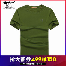七匹狼（SEPTWOLVES） 短袖 男士T恤 2841款-203軍綠色 