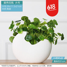的田園風(fēng)花瓶，讓生活更有情調