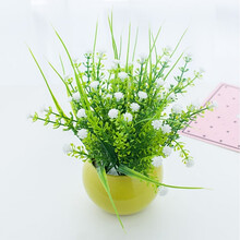 蘭花玻璃盆