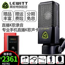 萊維特（LEWITT）  懸掛式 麥克風(fēng) 森然播吧二代K歌喊麥套裝