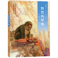 動(dòng)物小說