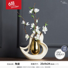 創(chuàng)意簡約擺件，提升客廳檔次感