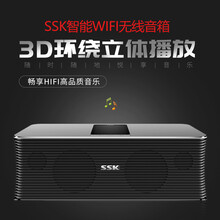 飚王（SSK） S100 音箱/音響 