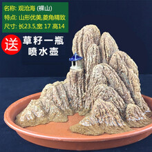 時(shí)尚創(chuàng  )意擺件，讓你的家更溫馨