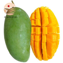 ���Ϸ�ƶ��â��