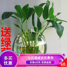 歐式花瓶，打造精致生活的藝術(shù)