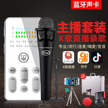 屁顛蟲（Hifier）  手持 麥克風(fēng) S200pro銀白色+E300