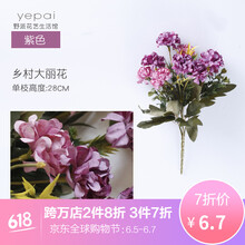 精美生態(tài)花瓶，讓你的家更浪漫
