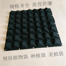 創(chuàng)意陶瓷花瓶，讓你的家變藝術(shù)