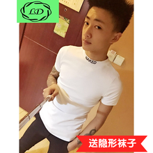 ǣLingDeng  ʿT ̰ɫ+ɫ 