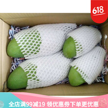 廣西金煌芒青芒果