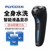 fs306