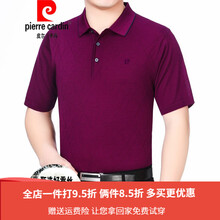 皮爾卡丹（pierrecardin） 短袖 男士T恤 22171暗紅色 