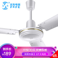 遠(yuǎn)東  電風(fēng)扇