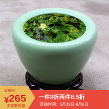 歐式典雅擺件，打造精致客廳氛圍