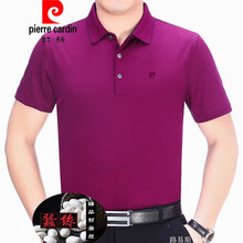 皮爾卡丹（pierrecardin） 短袖 男士T恤 081975062藍(lán)色 