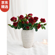 高顏值花瓶，讓你的生活更浪漫