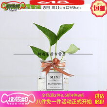 怎么樣,浪漫,浪漫,花瓶,花瓶