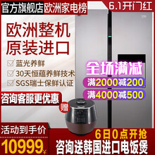 進(jìn)口大冰箱