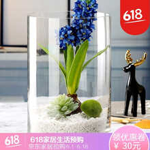 創(chuàng)意玻璃花瓶，打造唯美田園風