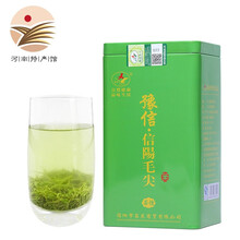 河南信陽(yáng)毛尖茶葉